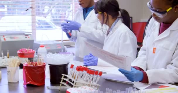 Laboratóriumi Technikusok Dolgoznak Együtt Blood Bank — Stock videók
