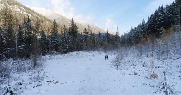 を冬の間に松の森と山を歩く観光客のアリエル — ストック動画