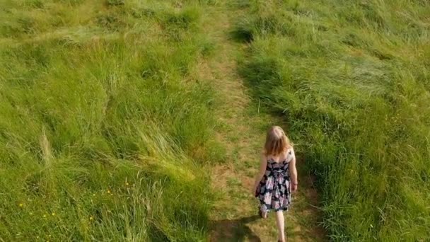 Mulher Andando Campo Verde — Vídeo de Stock