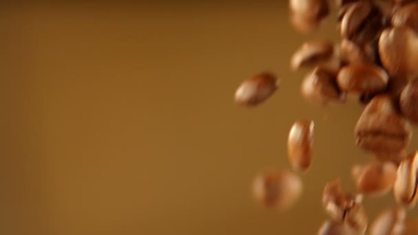 茶色の背景に落ちるコーヒー豆をクローズ アップ — ストック動画