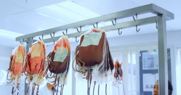 Лабораторні Техніки Аналізують Мішки Крові Банку Крові — стокове відео