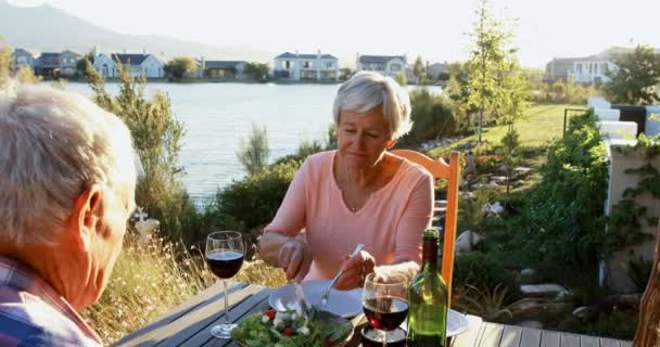 の裏庭で赤ワインと食事を持っているシニア カップル — ストック動画