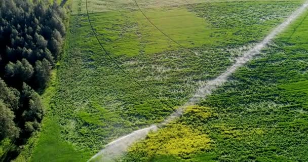 Vista Aérea Irrigação Água Culturas Verdes Campo — Vídeo de Stock