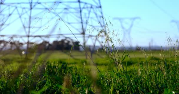 Υψηλής Τάσης Ηλεκτρικό Πόλων Στο Καλλιεργήσιμο Έδαφος Από Δρόμο — Αρχείο Βίντεο