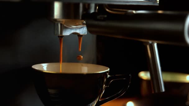 新鮮なコーヒーのクローズ アップ コーヒー メーカーからコーヒー カップに落ちるが値下がりしました — ストック動画