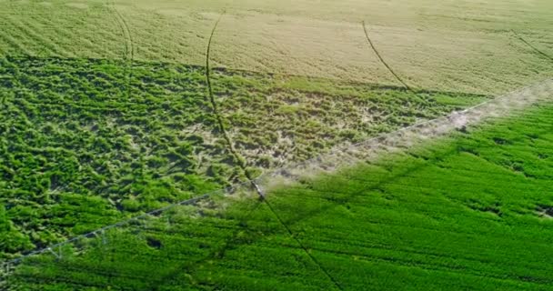 Vista Aérea Sistema Irrigação Das Culturas Verdes Exploração Agrícola — Vídeo de Stock