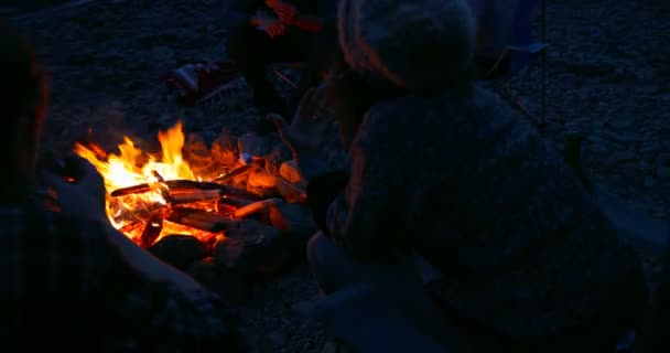 Achteraanzicht Van Groep Wandelaars Die Buurt Van Kampvuur Marshmallows Roosteren — Stockvideo