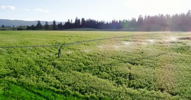 Vista Aérea Sistema Irrigação Água Culturas Verdes País — Vídeo de Stock