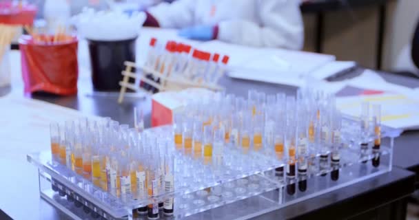 Kan Bankası Faturaları Kontrol Laboratuvar Teknisyeni — Stok video
