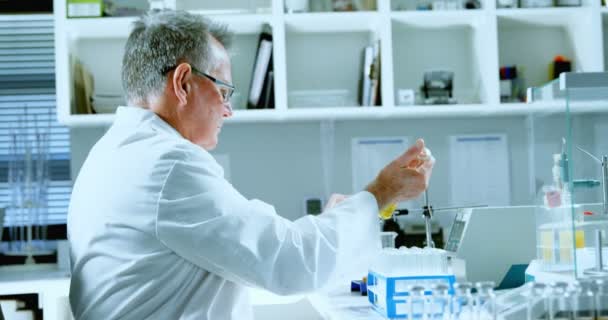 の研究室で実験親切な男性科学者 — ストック動画