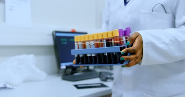 Połowie Sekcji Laboratorium Technik Przenoszenia Próbki Krwi Wieszak — Wideo stockowe