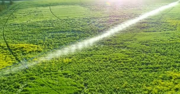 Aerial View Water Irrigation Green Crops Countryside — Stock Video