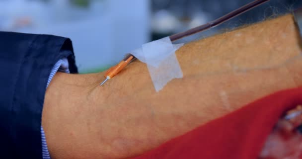 医生检查老人献血4K — 图库视频影像