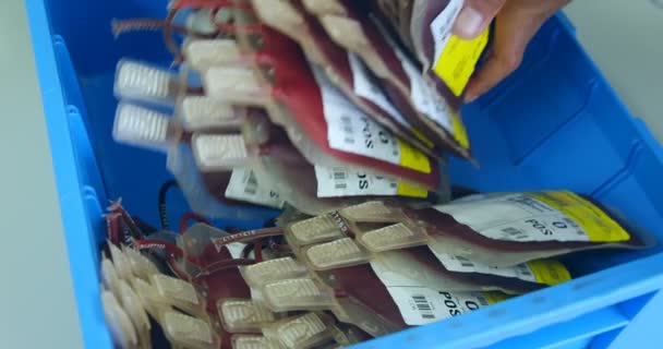 Close Laboratory Technician Arranging Blood Bags Tray — Stock Video