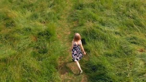 Mulher Andando Campo Verde — Vídeo de Stock