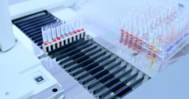 Tubes Essai Avec Échantillons Dans Rack Laboratoire — Video