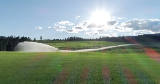 Flygfoto Över Vatten Bevattningssystem Gröna Odlingsmark Landsbygden — Stockvideo