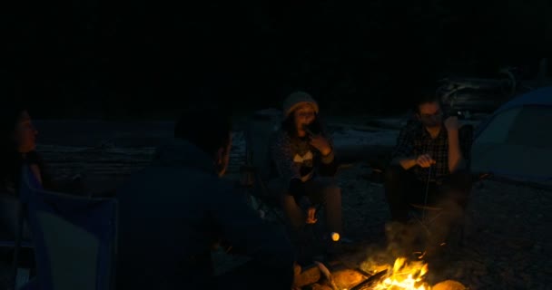 Ομάδα Πεζοπόρων Φρύξης Marshmallows Κοντά Campfire Στο Ύπαιθρο — Αρχείο Βίντεο