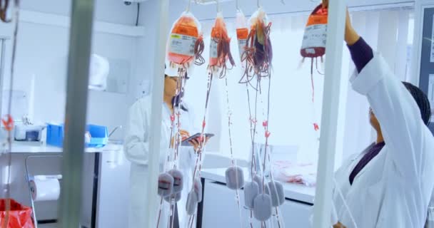 Laboratorní Technici Analýza Krevních Vaků Krevní Bance — Stock video
