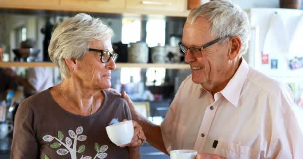 Senior Paar Interagiert Miteinander Der Küche Hause — Stockvideo