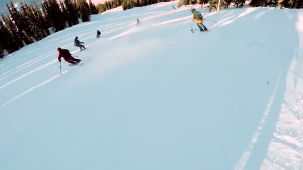 Grupo Esquiadores Esquiando Uma Colina Nevada — Vídeo de Stock