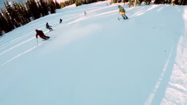 Groupe Skieurs Descendant Une Colline Enneigée — Video