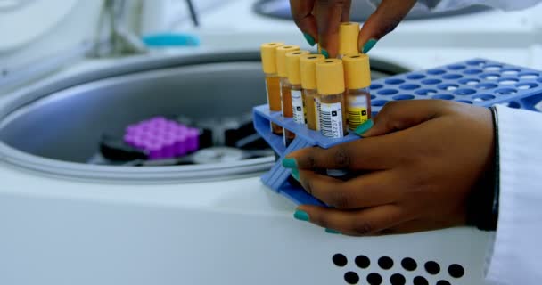 Лаборант Вынимает Образцы Плазмы Крови Центрифуги Банке Крови — стоковое видео