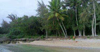 Hula dansçı Adası'nda 4 k dans kostüm havadan görünümü