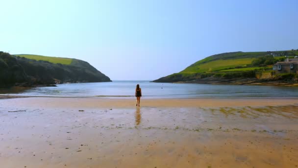 Vue Arrière Femme Marchant Sur Plage Par Une Journée Ensoleillée — Video