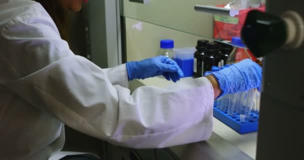 Vista Lateral Del Científico Femenino Que Arregla Tubo Ensayo Laboratorio — Vídeo de stock