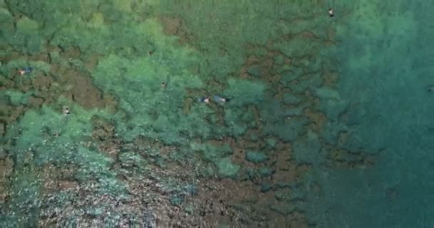 Luftaufnahme Von Surfern Die Türkisfarbenen Wasser Paddeln — Stockvideo