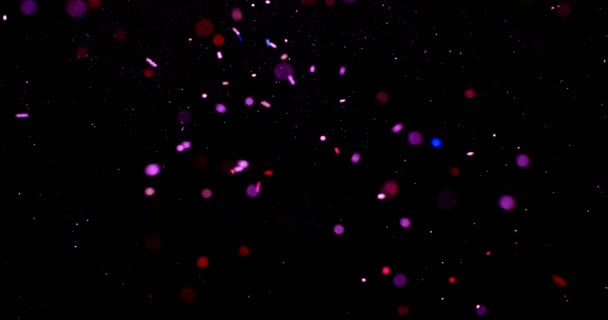 Gros plan sur la neige artificielle tombant sur le sol 4k 