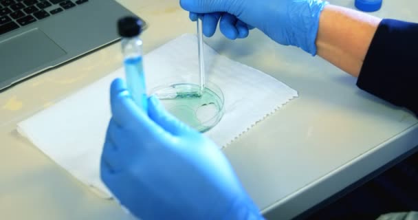 실험실에서 과학자의 클로즈업 — 비디오