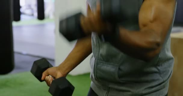 Homem Sênior Exercitando Com Halteres Estúdio Fitness — Vídeo de Stock
