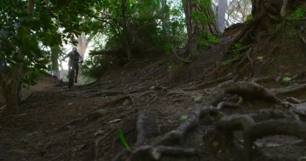 Mann Radelte Mit Fahrrad Wald Auf Dem Land — Stockvideo