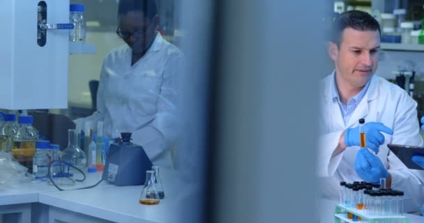 Команда Вчених Взаємодіють Між Собою Лабораторії — стокове відео