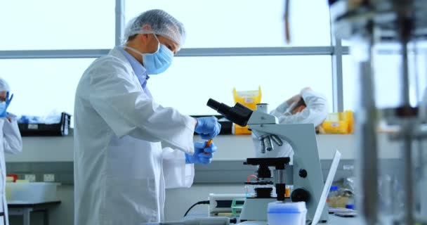 Scienziato Sesso Maschile Che Sperimenta Laboratorio — Video Stock