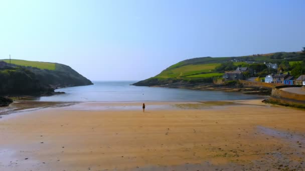 Aerial View Woman Walking Beach — Stock Video