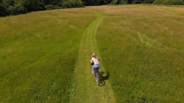 Αεροφωτογραφία Του Γυναίκα Ιππασία Ποδήλατο Στον Πράσινο Τομέα — Αρχείο Βίντεο