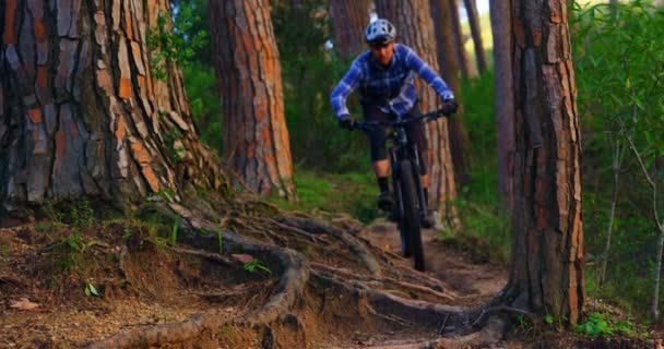 Чоловік Їде Велосипеді Лісі Сільській Місцевості — стокове відео
