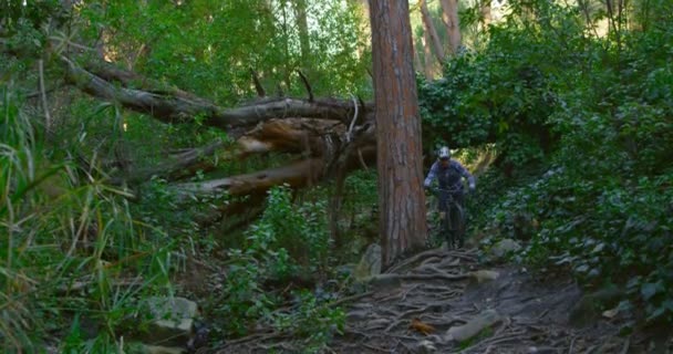 Man Fietsten Bos Platteland — Stockvideo