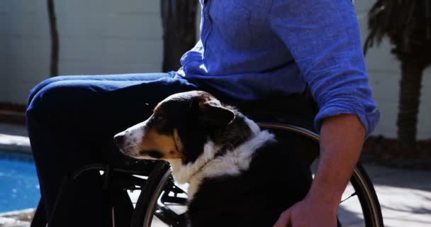Hombre Discapacitado Acariciando Perro Día Soleado — Vídeos de Stock