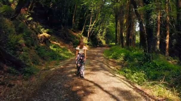 Οπίσθια Όψη Της Γυναίκα Περπάτημα Στο Δάσος Μια Ηλιόλουστη Ημέρα — Αρχείο Βίντεο