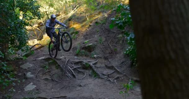 Homem Andar Bicicleta Floresta Campo — Vídeo de Stock