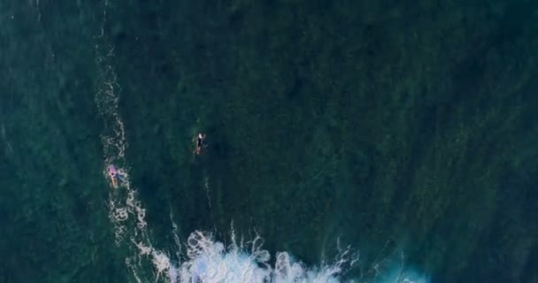 Vif aérien de surfeurs surfant dans la mer 4k 