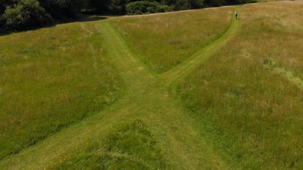Vue aérienne de la femme à vélo dans le champ vert 4k 