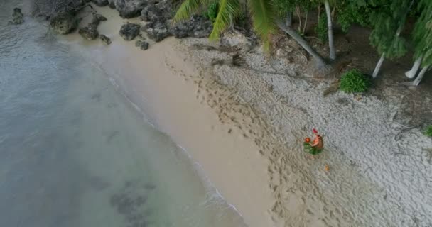 Aerial View Hula Dancer Costume Dancing Island — Stock Video