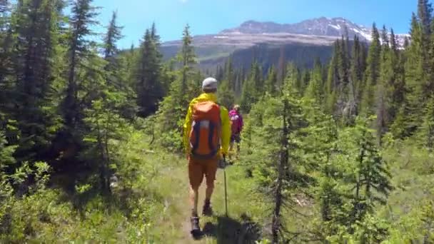 Arkadan Görünüş Çiftin Dağ Hiking — Stok video
