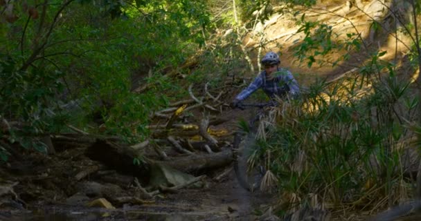 Man Fietsten Bos Platteland — Stockvideo