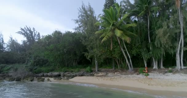 Luftaufnahme Einer Hula Tänzerin Kostümtanz Auf Insel — Stockvideo